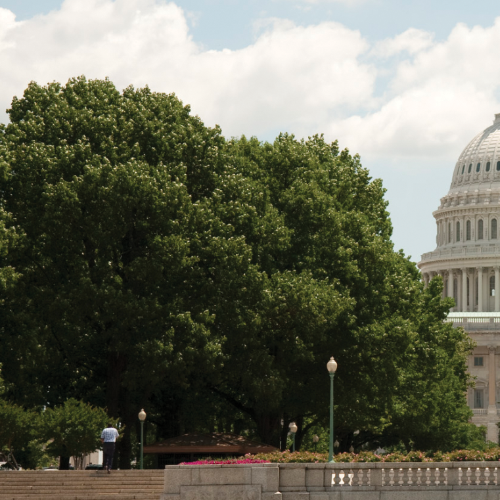 Charitable Planning in July